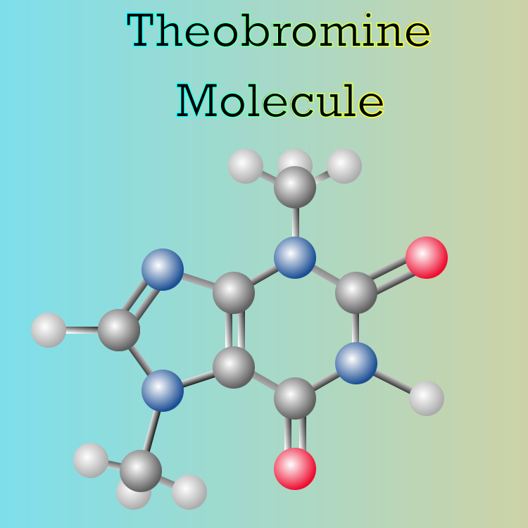 theobromine molecule