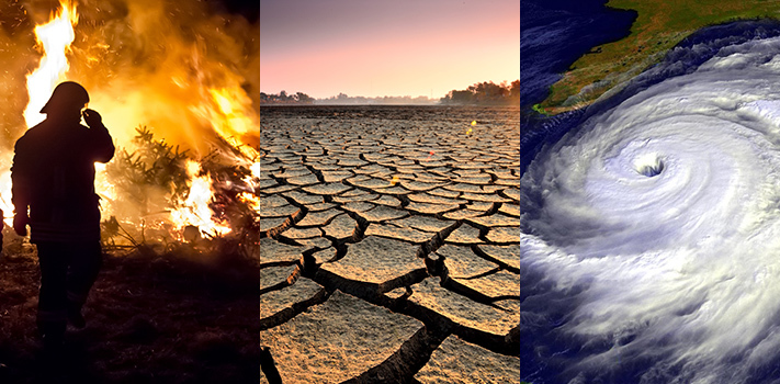 forest fire, dry valley, and hurricane