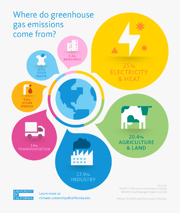 where do green house gasses come from