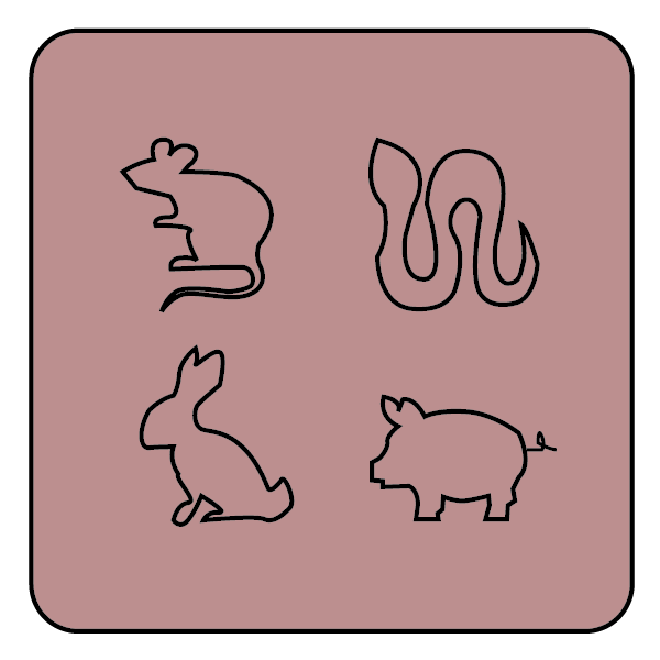 zodiac