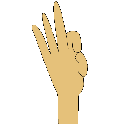 ASL sign for nine
