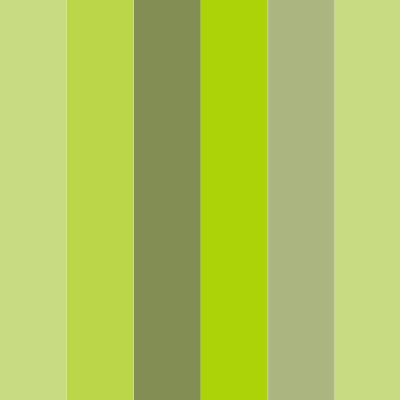 color scheme